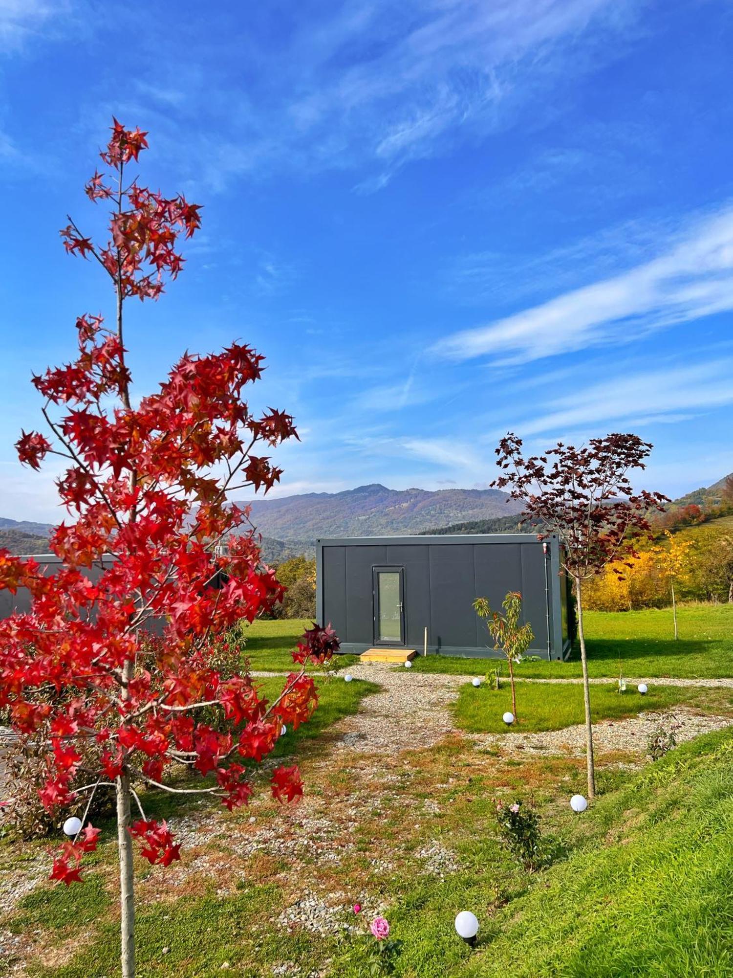 Hotel Flandra Glamping Corbeni Esterno foto