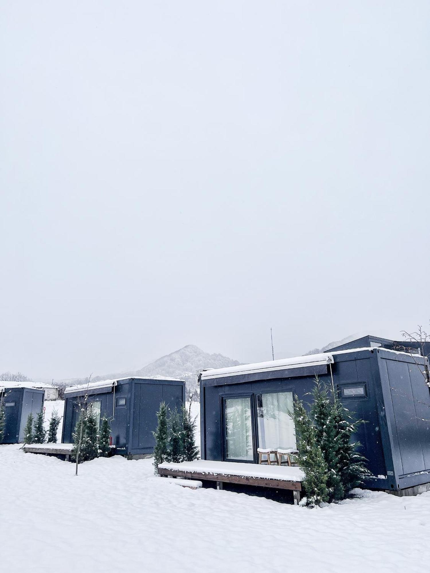 Hotel Flandra Glamping Corbeni Esterno foto